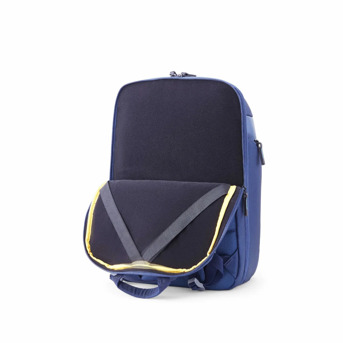 American Tourister Urban Plus Professional Backpack