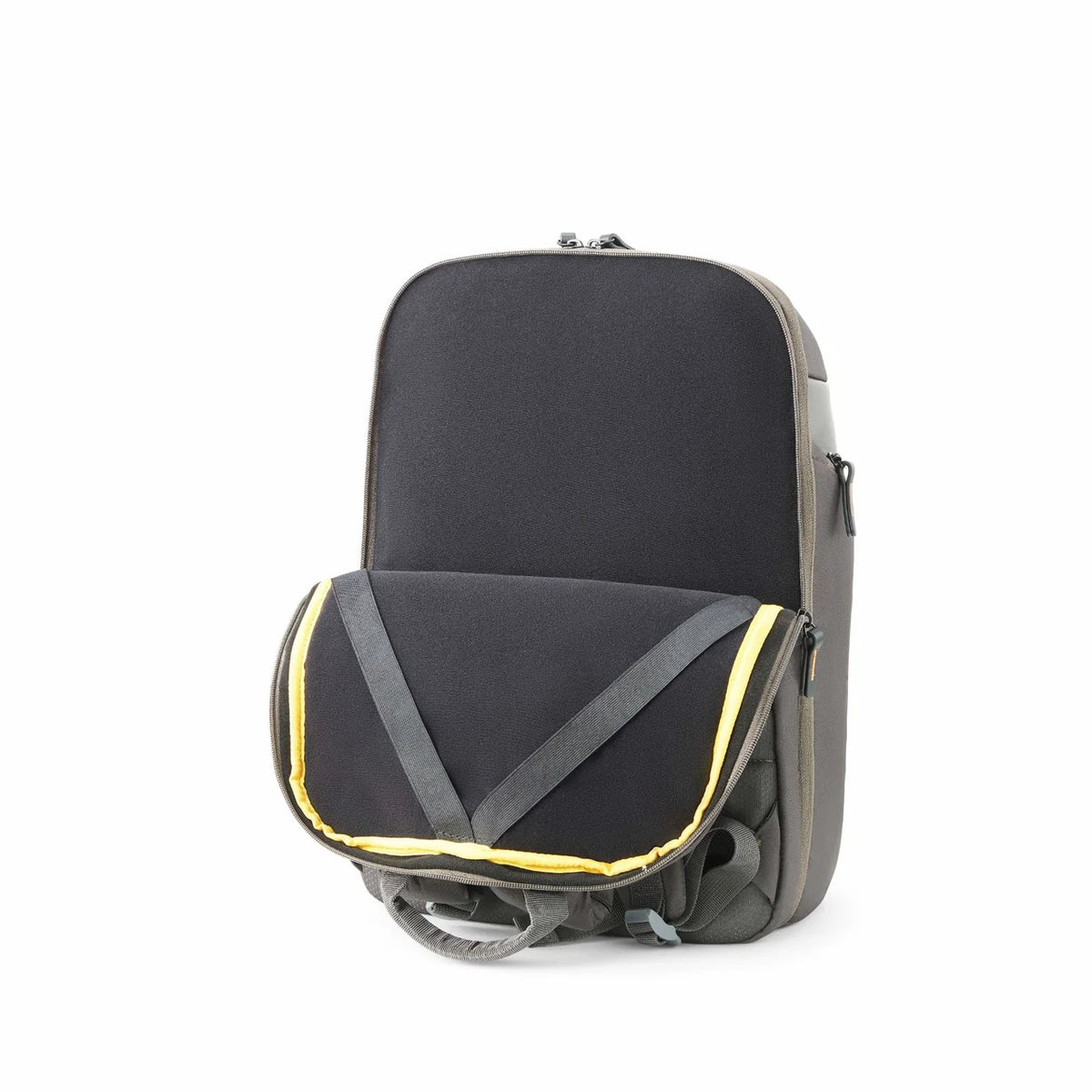 American Tourister Urban Plus Professional Backpack