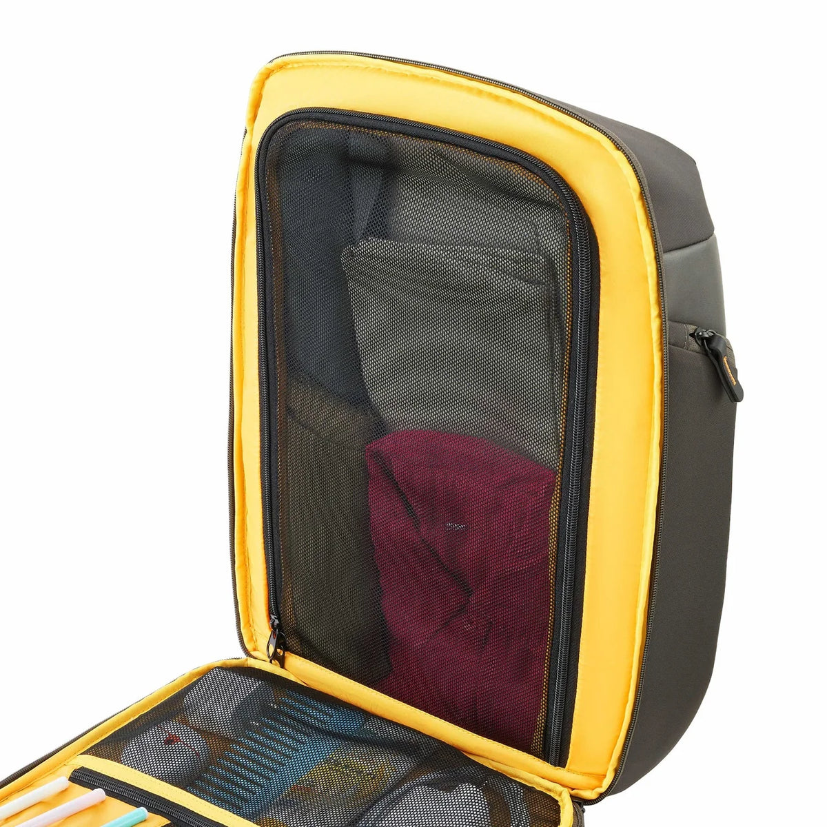 American Tourister Urban Plus Professional Backpack