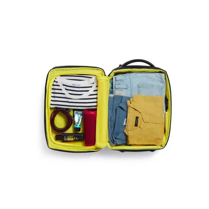 American Tourister Citycove Laptop Backpack